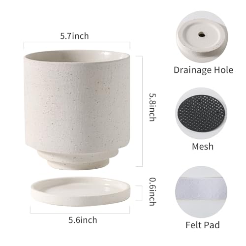 Ceramic Plant Pot with Resin Climbing Tortoise Figure, 5.75 Inch,White - color: White+bt, size: 5.7 Inch