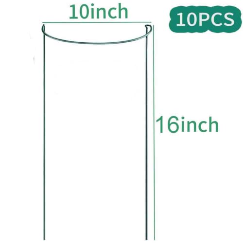 TCBWFY 10 Pack Plant Support Stakes for Peony,10" Widex16 High Heavy Duty Peony Cages and Support,Metal Peony Supports for Outdoor Indoor Plants,Plant Supports for Peony,Tomatoes,Hydrangea,Rose - size: 10"Dx16"H-10PCS