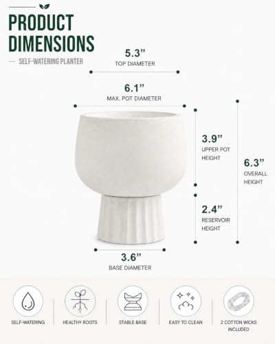 Self Watering Pots for Indoor Plants, 6 Inch Ceramic African Violet Pot - color: White 6″