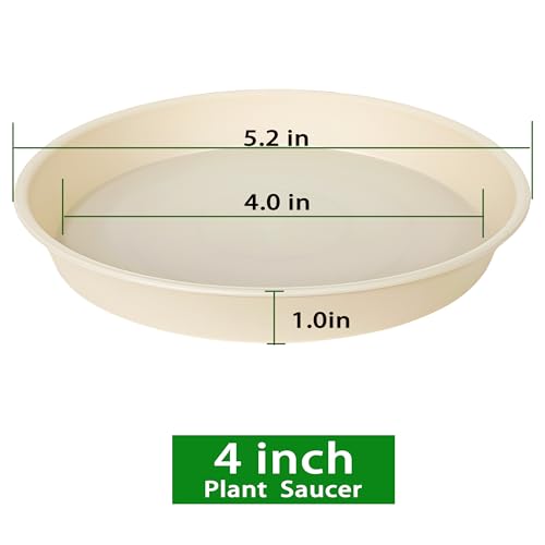 6 Pack Plant Saucer Water Drip Tray, 4 5 6 7 8 9 10 11 12 13 15 17 19 inch, Heavy Sturdy Plant Drainage Tray for Indoors Outdoor, Flower Saucers for Pots Base (4", Beige) - color: Beige, size: 4"