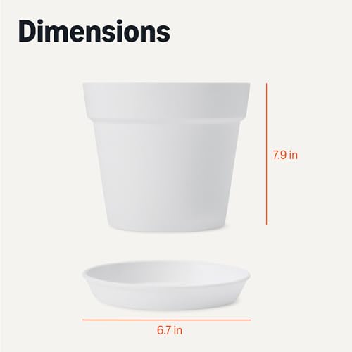 Amazon Basics Plant Pot with Saucer, Flower Pot with Drainage Holes, Lightweight PP, 8 Inch, 1-Pack - size: 8 inch