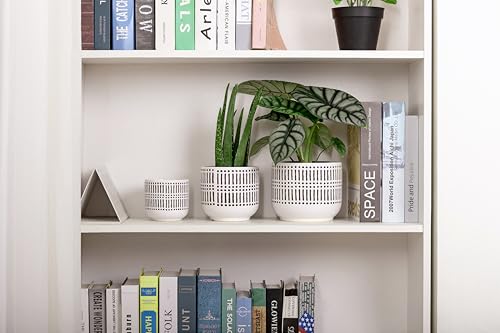 Docrin 3-Pack Ceramic Plant pots Set - 6.5"+5.3"+4" Dual-Tone Flower Pots with Drainage Holes, Modern Indoor Outdoor Planters for Succulents/Herbs/Large Plants, Home Office (Brownish Black & White) - color: A-brownish Black White