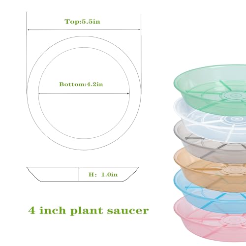 Plant Saucer 4 inch 6 Pack Drip Tray, 4 5 6 8 9 10 12 14 16 18 inch, Heavy Sturdy Plastic Planter Flower Pot Saucers for Indoor Outdoor Garden, Plant Water Drip Trays for pots Base (4", Clear) - color: Clear, size: 4" - 6Pcs