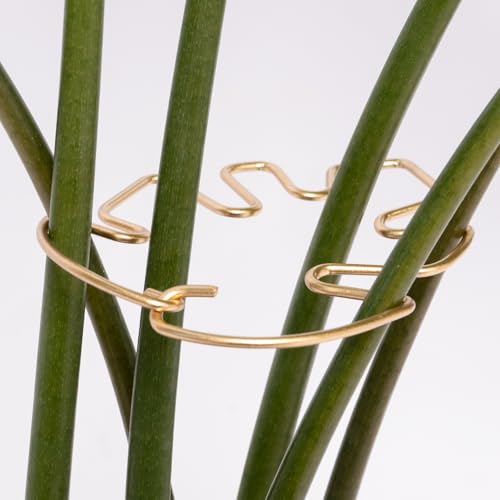 5PCS 4.13*2.95in Monstera Stem Support-Keep Plants Healthy&Upright - size: 4.13 x 2.95 inches