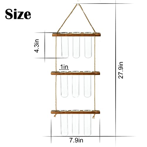 XXXFLOWER Wall Hanging Propagation Station 9 Tube Vases+2 Tiers Star Shaped Glass Flower Vase for Hydroponic Planter