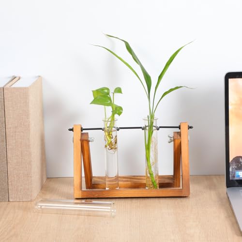 SEWACC 4 Pack Clear Glass Test Tube Vases 5.90 X 1.18 in Hydroponic Propagation Tubes for Small Plants Flowers Desktop Shelf Bedside Home Office Garden Decor