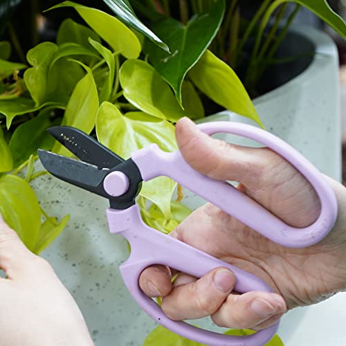 Flower Scissors With Black Carbon Steel Blades 6.7 Inch, Snapdragon (Lavender) - style: 6.7 Inch Lavender