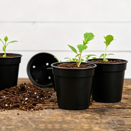 120 Pcs 2 Inch Black Mini Nursery Pots, Seedling Pots with Drainage Holes - color: Black