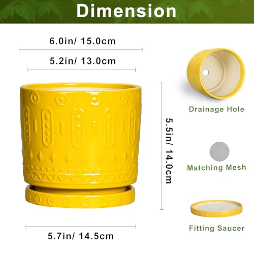 Eightpot 6 Inch Pots for Plants, Ceramic Pots for Plants with Drainage Holes and Tray, Round Planter for Indoor Outdoor, Modern Plant Pot, Decorative Flower Pot, Table Decor, Teacher Gift, Yellow - color: Yellow, size: 6 Inch