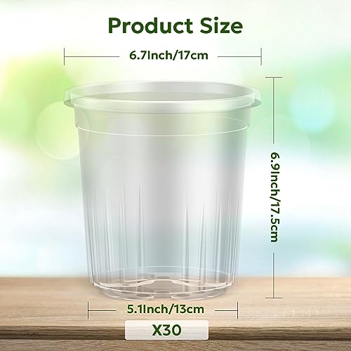 Bluepro Clear Nursery Pots with Drainage Holes, 7 Inch, 1 Gallon, 30-Pack - size: 7 Inch-30Pcs