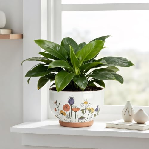 Terracotta Pots, 8+6 Inch Plant Pots, 2 Pcs with Drainage Holes - color: French Country, size: 8+6 Inch