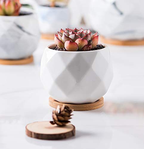 Jucoan 6 Pack Ceramic Succulent Planter Pot with Bamboo Tray, 4 Inch Small White Diamond Shaped Cactus Herb Flowers Planter with Drainage Hole for Indoor Home Office Decor