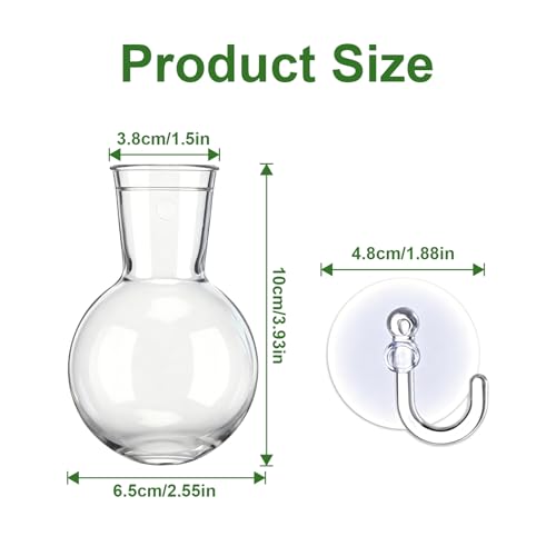 8 Pack Window Propagation Stations, Plastic Plant Terrarium Vases - size: 8 Pcs