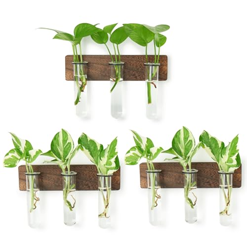 XXXFLOWER Wall Mounted Plant Terrarium 3PCS+4 Tube Vase Accessories