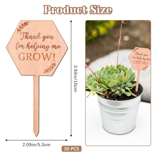 30PCS Thank You for Helping Me Grow Hexagon Wooden Plant Identification Stakes, Garden Succulents Tags Labels for Plants Gifts, Pot Label Picks for Teacher's Day or Mother's Day Appreciation Thanks