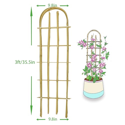Bamboo Trellis,U-Shape Bamboo Trellis,3Feet,3pack,Trellis for Climbing Plants Outdoor Bamboo,for,Climbing Plants,Tomato, Vegetables,Flowers, Beans, Cucumber,Indoor Potted Climb Plants - style: U-Shape,3Ft,3Pack