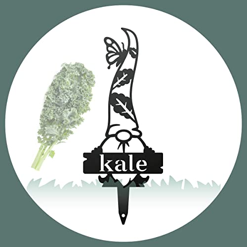RealSteel Gnome Plant Markers Metal Garden Stakes | Outdoor Garden Labels & Plant Tags for Vegetables & Herbs | Decorative Yard & Raised Bed Garden Signs | Gardening Gift | Made in USA - Kale - style: KALE