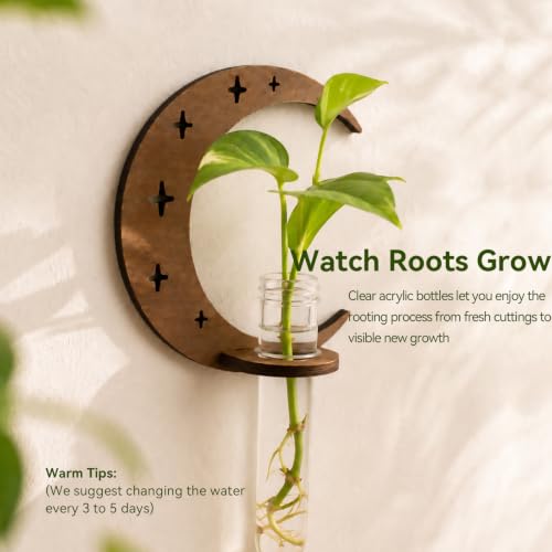 Artilady Plant Propagation Station, Moon Wall Hanging Wood Terrariums Tube - color: Crescent Moon
