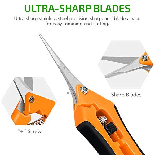 iPower GLPRNR6OR 6.5 Inch Gardening Pruning Shears Hand Scissors with Straight Stainless Steel Blades for Trimming Herbs, Plants, Hydroponic, 1-Pack, Orange - color: Orange, size: 1-pack