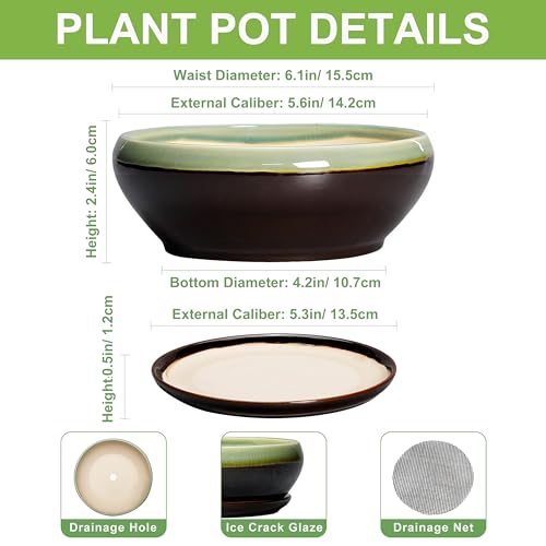 SQOWL Succulent Pots 6 Inch - Shallow Ceramic Planter, Bonsai Pot with Drainage Hole and Saucer, Round Ceramic Succulent Planter for Indoor Outdoor Plant, Kitchen Decor, Plant Lover Gift, Green-Brown - color: Green-brown, size: 6 Inch