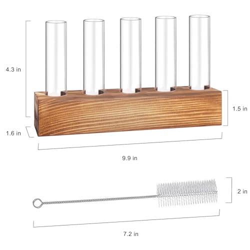Renmxj Plant Propagation Station, Plant Terrarium with Wooden Stand - size: 5 Test Tube