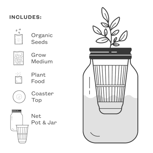 Modern Sprout Mason Garden Jar-Self-Watering Hydroponics Kit-Basil+Parsley - color: Basil+parsley, size: Garden Jars