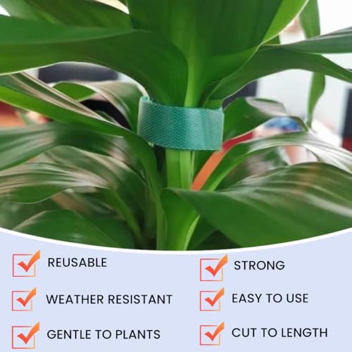 Plant Ties Hook and Loop Garden Tapes 1/2'' Wide Fabric Fastening Tape Double Sided Self Gripping Strap Reusable Adjustable Cable Ties Garden Vines Ties, Soft Plant Tie (1/2 Inch x 32 ft, Green) - size: 1/2 Inch x 32 Feet