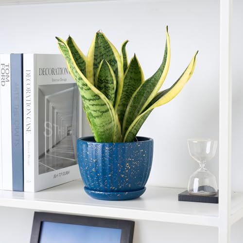 4/5/6 Inches Ceramic Plant Pots with Drainage Holes and Saucer Set of 3 - color: Blue With Dot-big Size