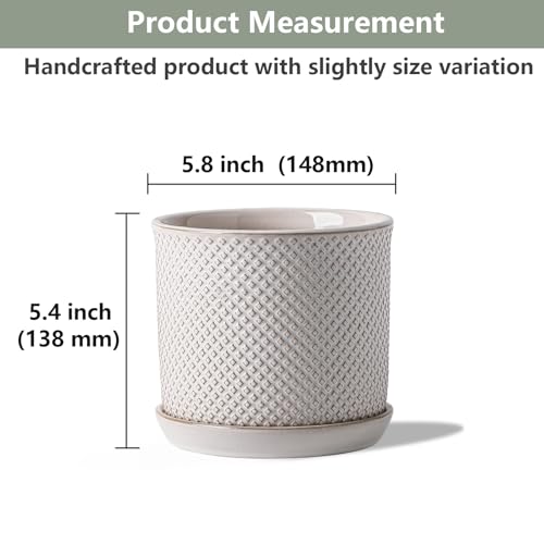 5.8 Inch Ceramic Plant Pot with Drainage Hole & Separate Saucer - color: Beaded Embossed, size: 6 inch