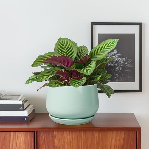 G EPGardening Ceramic Plant Pots, 6 Inch Pot for Plants, Green - color: Mint Green, size: 5 Inch