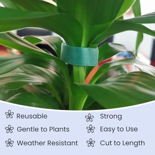 Reusable Plant Ties Hook and Loop Soft Garden Tape Roll Gentle Plant Supporting Ties Double Sided Self Gripping Adjustable Garden Staking Straps for Climbing Plants and Vines (1/2 Inch x 82 ft, Green) - size: 1/2 Inch x 82 Feet