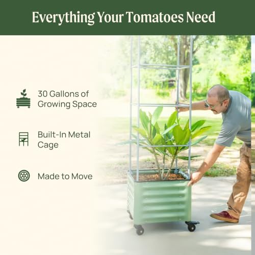 Vego garden Classic Rolling Cube Tomato Planter with Metal Cage & Wheels, 30 Gallon Rolling Planter for Tomatoes, Peppers & Beans, 21" x 21" x 19", 54" Plant Support Cage-Pearl White - color: Pearl White