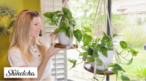 2 Pack Plant Hanger Indoor, Hanging Plant Shelf (12" + 10") - color: Brown, size: 2-Pack, 1-Tier