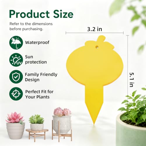Yellow Sticky Traps for Fruit Fly, Whitefly, Fungus Gnat, Mosquito, Fly and Bug, Sticky Insect Catcher Traps for Indoor/Outdoor/Kitchen, Extremely Sticky, Non-Toxic, Pet & Kid Safe (48 Pcs B) - size: 48 Pcs B