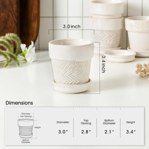 Fayoula Succulent pots,Indoor Small Succulent Bonsai,3 Inch Mini Ceramic Succulent Pots with Saucer and Drainage Hole, Decorative Planter for Succulent, Cactus, Set of 4. - color: 3inch-beige, size: Small