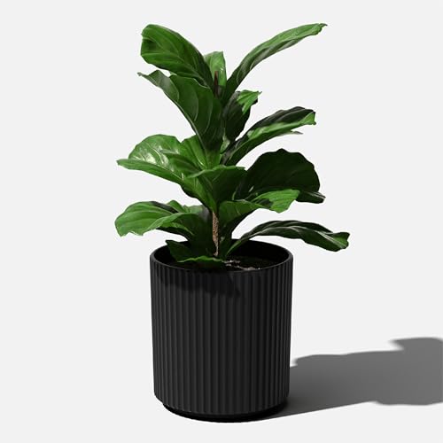 Veradek Demi Series Planter - Large Round Outdoor Planter - color: Black, size: 16 inch