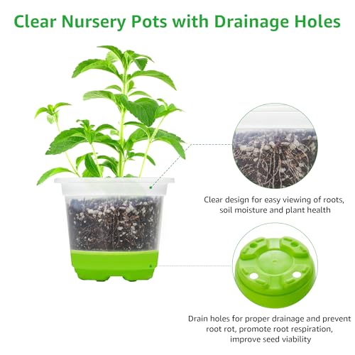 MIXC Clear Nursery Pots with Silicone Base, 4-Inch, 60-Pack - color: Green, size: 4 Inch-60Pcs