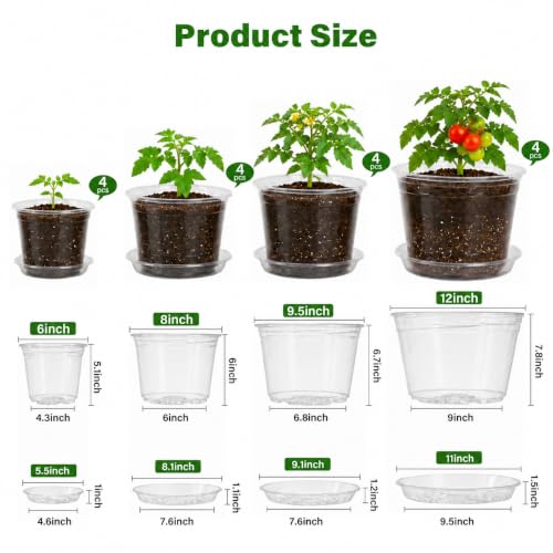 Bluepro Clear Nursery Pots with Saucers, 6/8/10/12 Inch, 20-Pack - size: 6/8/10/12 Inch-20Pcs