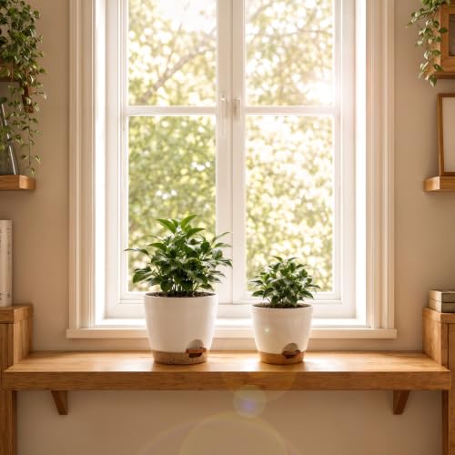 Utopia Home Self Watering Pots for Indoor Plants 6.8"/6.4"/5.9"/5.5"/4.9" Set of 5, Planters for Indoor Plants, Small Multi-Size Flowerpot, Plant Pots with Drainage & Reservoir (White) - color: White, size: Pack of 5