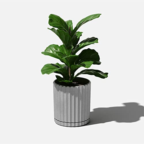 Veradek Demi Series Demi 6" Planter w/Tray, Grey - color: Gray, size: 6 inch