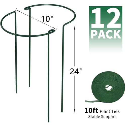 AMAGABELI Garden & Home 12 Pack Plant Support Stakes 10" W x 24" H Heavy Duty Half Round Peony Cage Metal Garden Support Structures Plant Cage with Ties for Indoor Flower Tomato Hydrangea Monstera