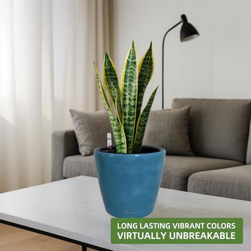 Dexceder 11x10 Self Watering Planter (Peacock Blue Gradient) - color: Peacock Blue, size: 11x10