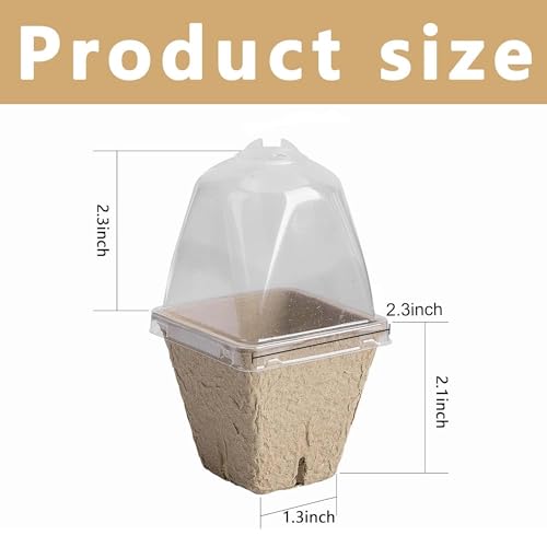 PURPLE STAR 1N 20 Pcs Biodegradable Nursery Pots with Humidity Dome- 2.3 Inch Square Seeding Starter Pot for Planting- Peat Pots for Seedlings Garden Vegetable Flower Germination - color: S-20pcs