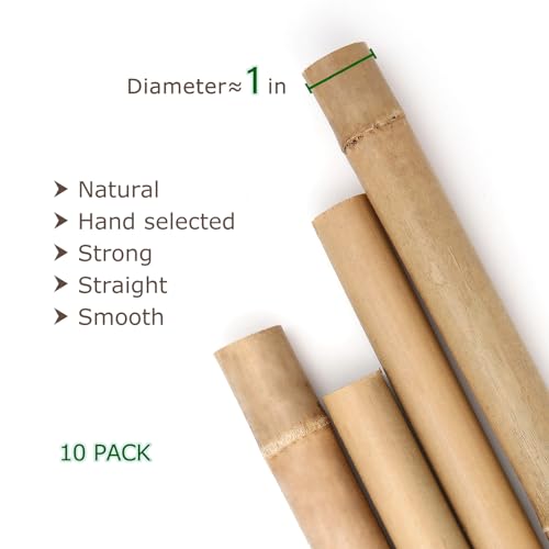 Cambaverd Bamboo Stakes 8 Feet, 1in Dia. Garden Stakes,10 Pack Bamboo Poles - size: 8 FT-10PACK