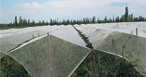 Anti-Aging Orchard Anti-Hail Netting Vegetable Garden Hail Protect Netting,19.5x30ft - size: 19.5x30ft