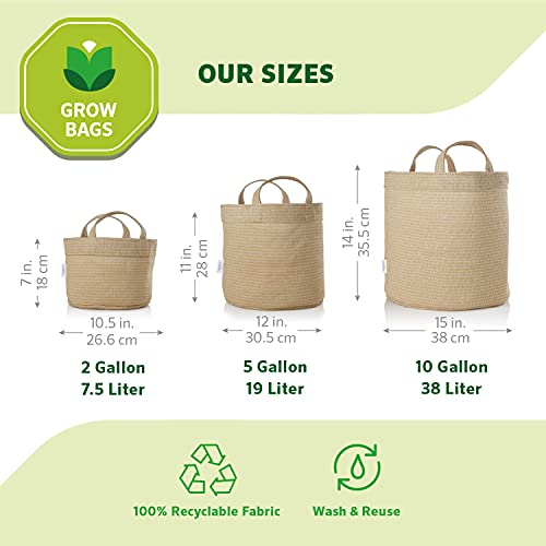 Coolaroo 4-Pack 10 Gallon Heavy Duty Plant Tomato Potato and Other Vegetables and Fruits Breathable Fabric Grow Planter Pot Bag with Handles, Desert Sand - color: Desert Sand, size: 4 Pack, style: 10 Gallon