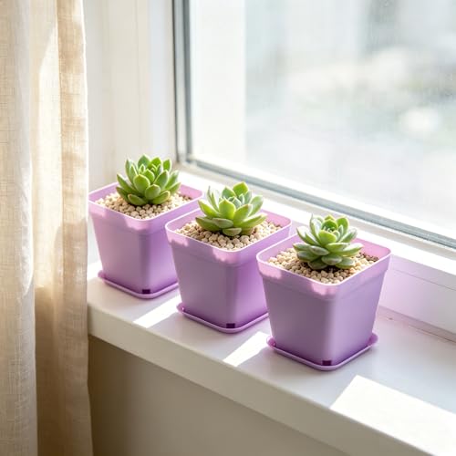 HOIGON 100 Pack 3 Inch Square Nursery Pot, 5 Colors Durable Thickened Plastic Nursery Pots with Drain Holes and Saucers, Small Square Planting Containers for Flower Tomatoes Basil - color: Black, Purple, Green, Pink,yellow