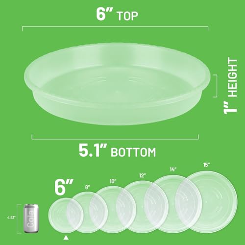 MUDEELA 6-Pack Plastic Plant Saucers Tray for Indoor, 6 Inches, Clear - size: 6" - 6 Pack