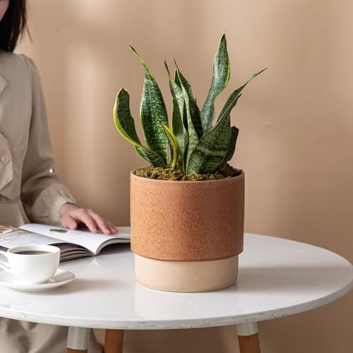 8 Inch Ceramic Self Watering Planter with Drainage Hole Terracotta - color: Terracotta, size: Medium