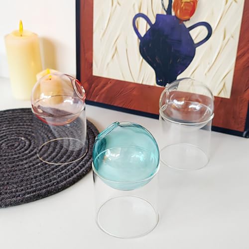 3-Pack Glass Hydroponics Vase Set | Unique Plant Propagation Station with Removable Base, Cute Flower Vase & Mini Terrarium for Plants - color: Aqua + Clear + Pink